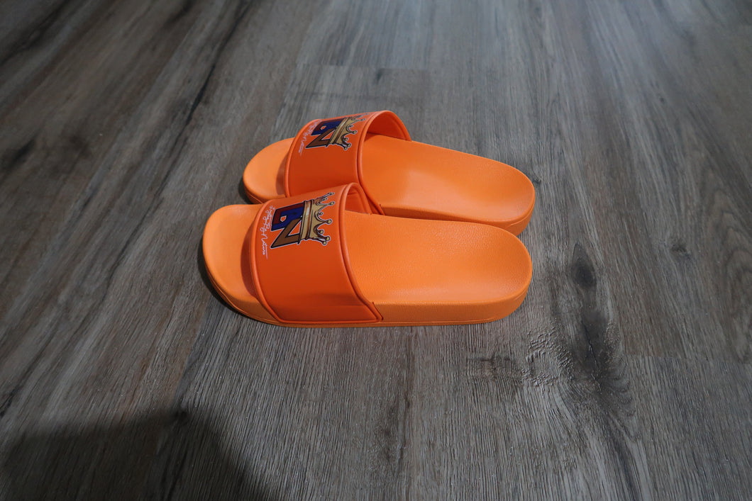 Orange V2 Slides